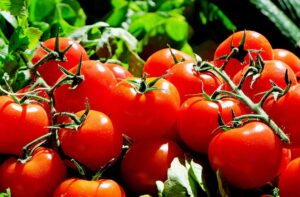 Les tomates : un bouclier naturel contre les UV