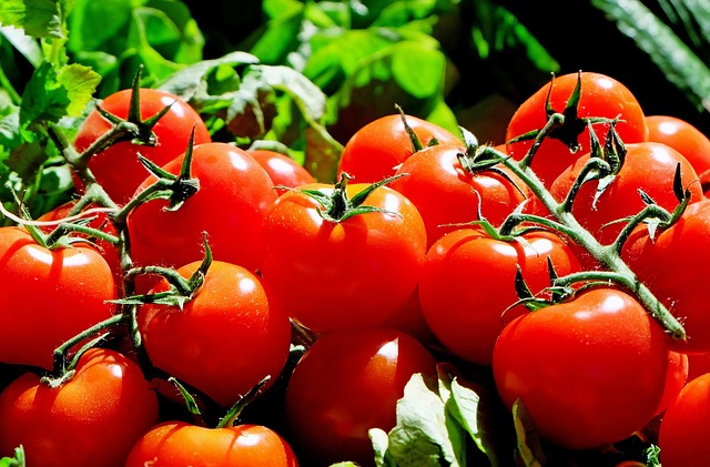 Les tomates : un bouclier naturel contre les UV