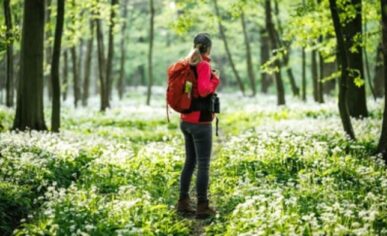 des vacances nature en forêt